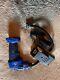 Sun Joe 24v Cordless Portable Air Compressor Kit